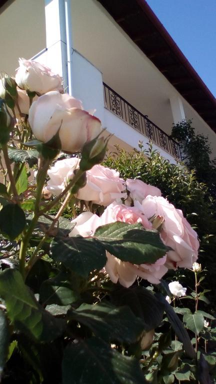 Hotel Archontiko Dimitra Vergina Bagian luar foto